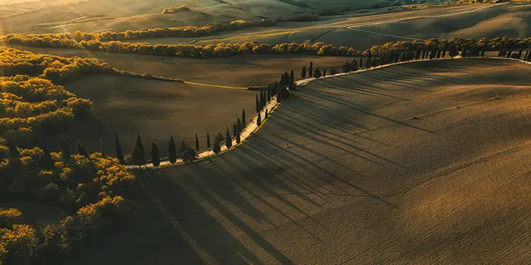 Nest Italy
