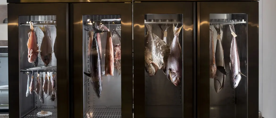 Nest Italy: Trattoria Da Lucio a Rimini