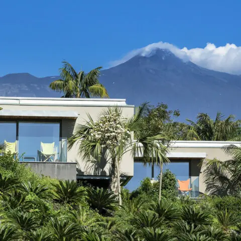 Nest Italy: