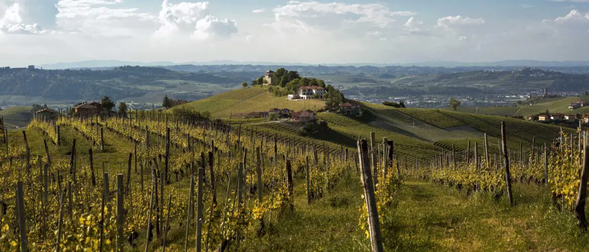 Nest Italy: Luxury Agriturismo in the Heart of the Langhe