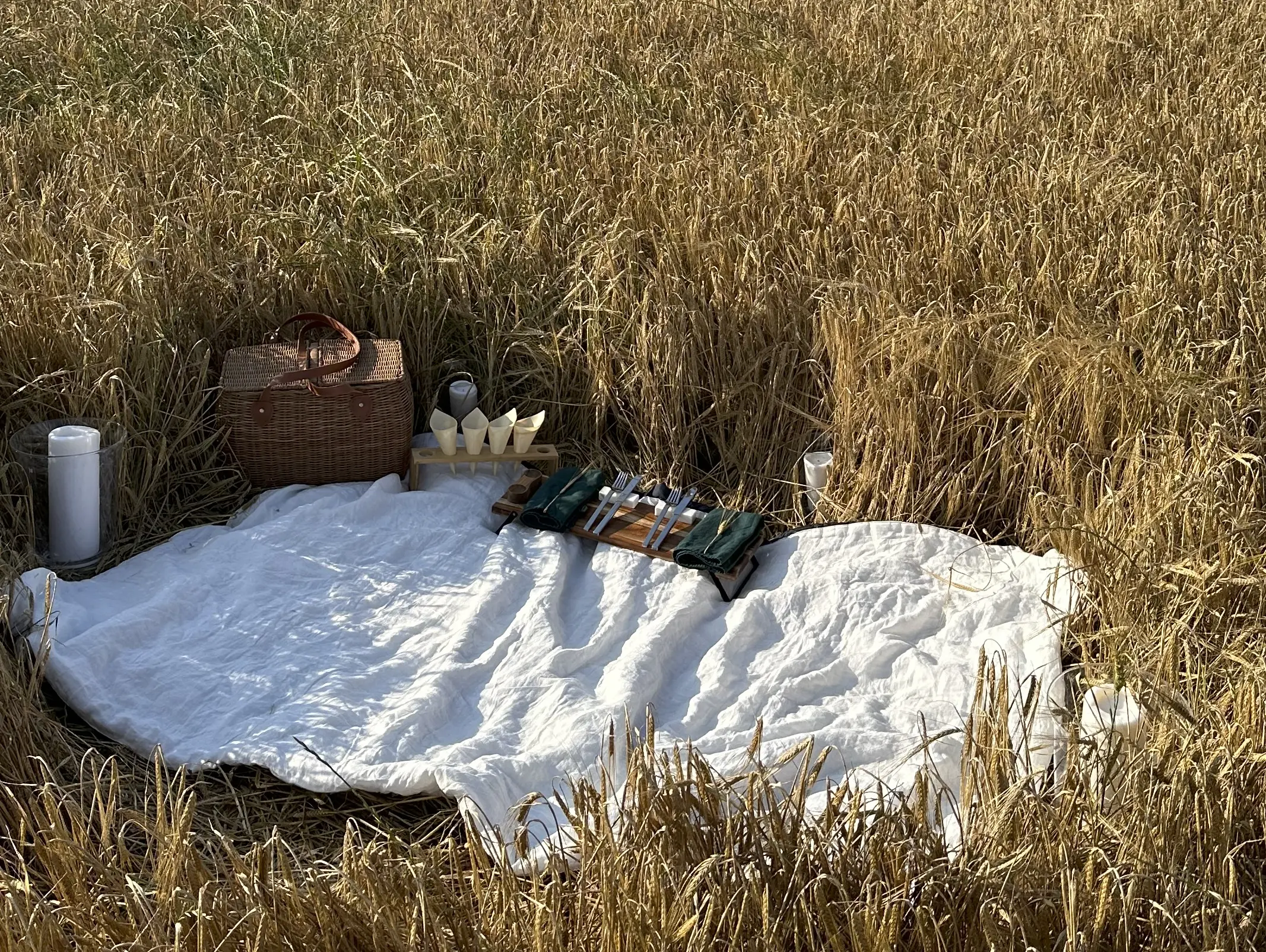 Plaid per il Picnic, Once Milano