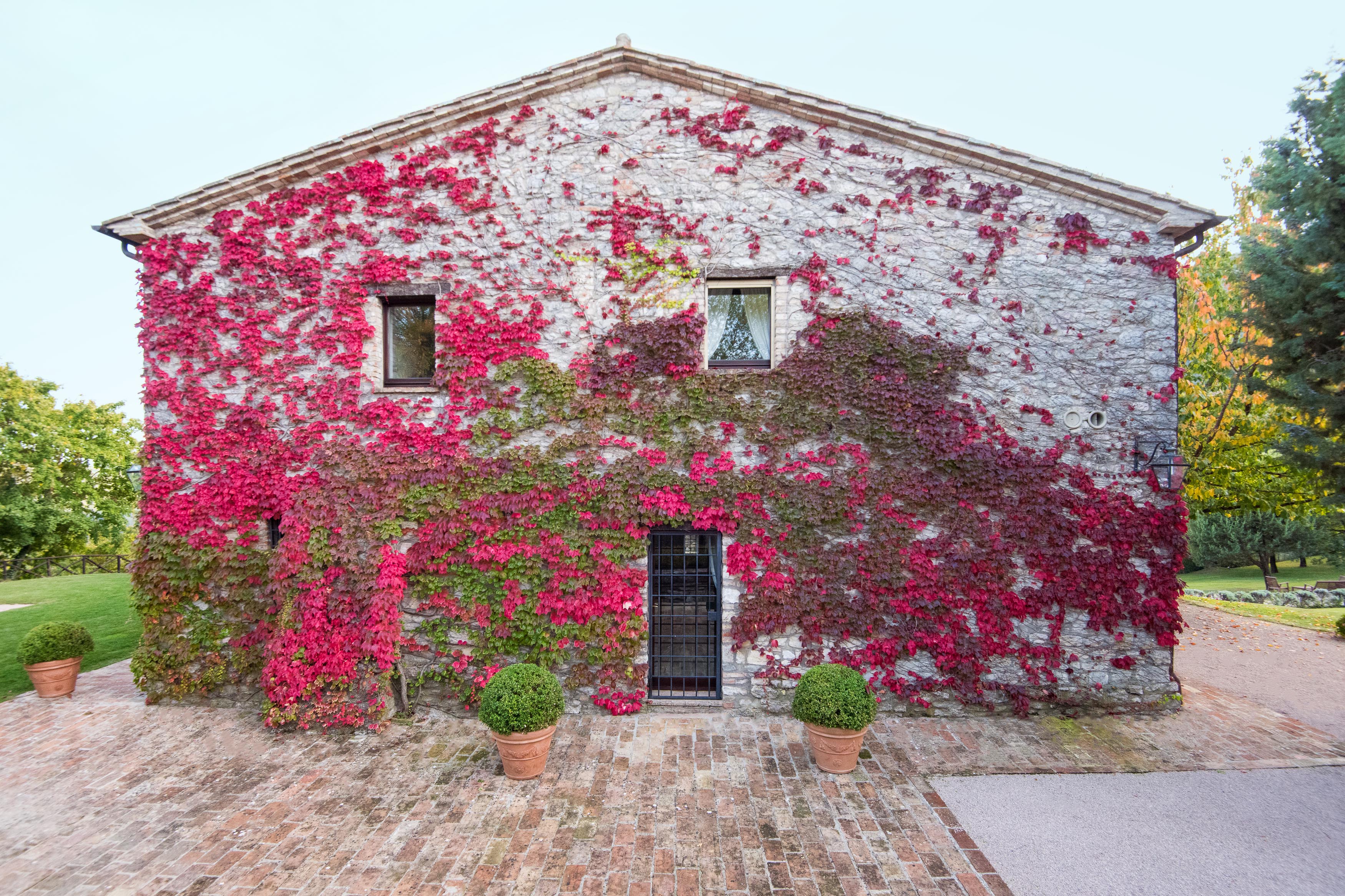 Nest Italy - Retreat in Umbria