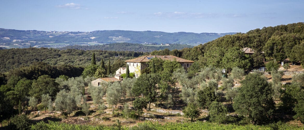 Organic Farm in Tuscany