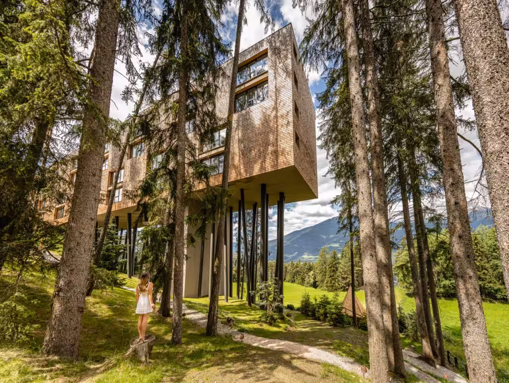 Nest Italy: My Arbor