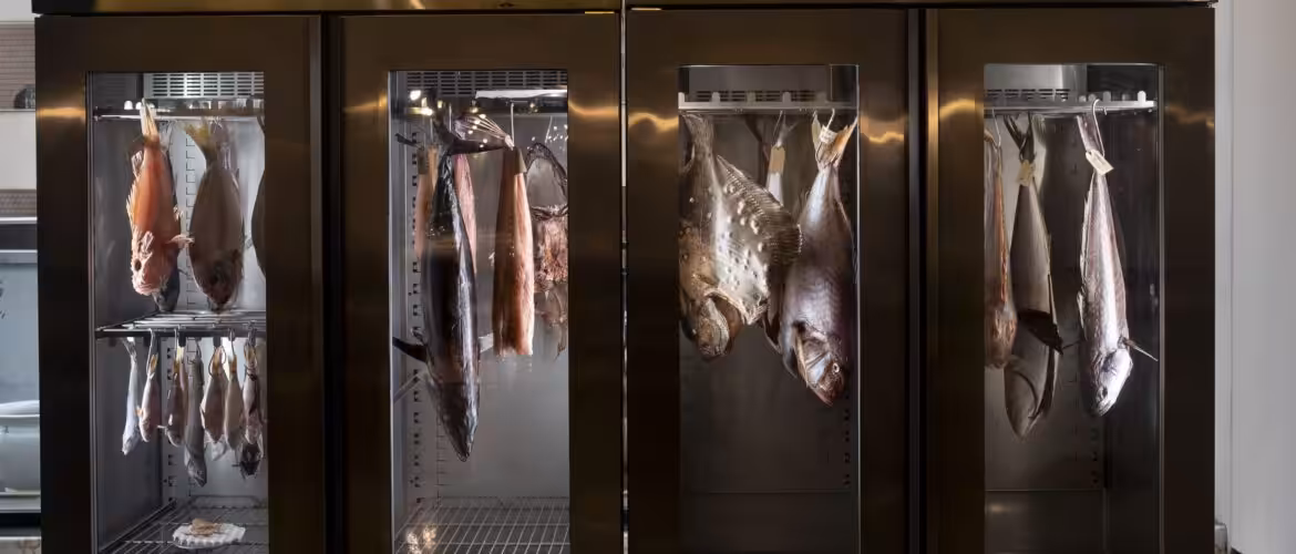 Nest Italy: Trattoria Da Lucio a Rimini