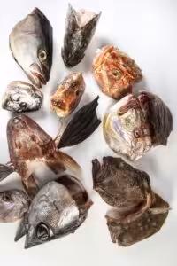 Nest Italy: Trattoria Da Lucio a Rimini