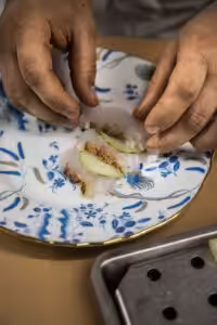 Nest Italy: Trattoria Da Lucio a Rimini