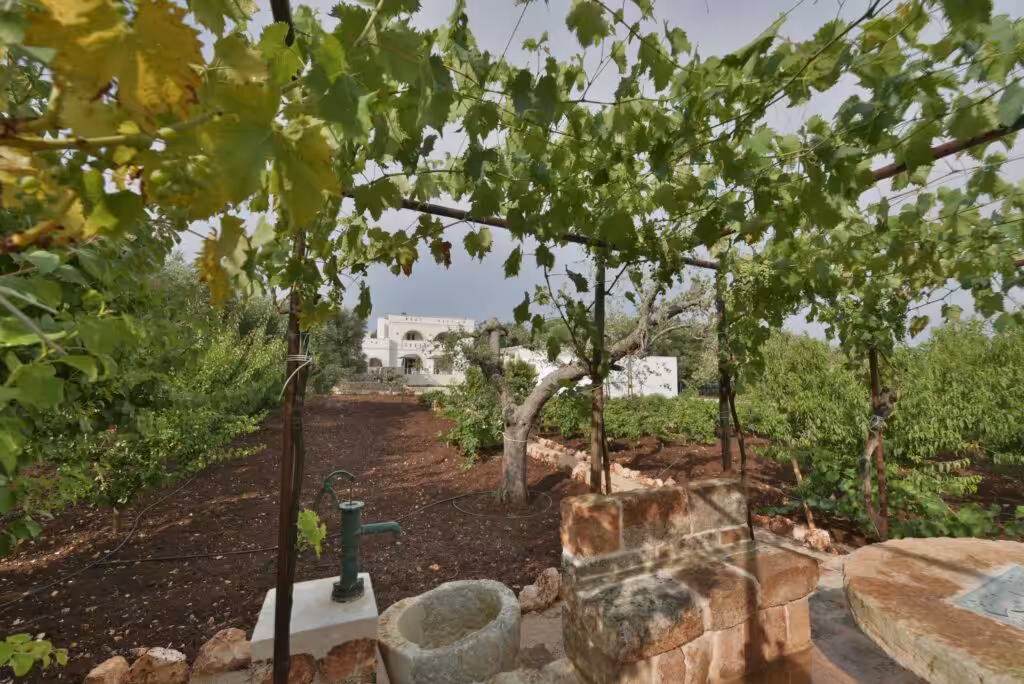 Nest Italy: Villa Masseria Don Salvatore