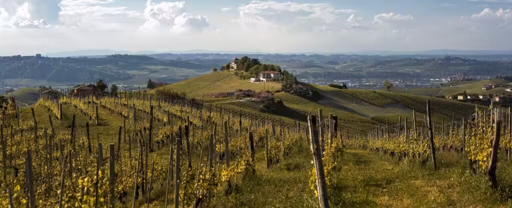 Nest Italy: Luxury Agriturismo in the Heart of the Langhe