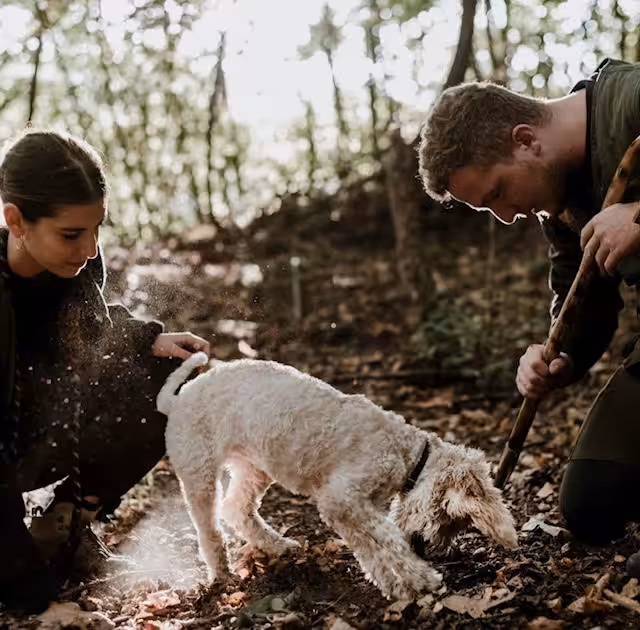 Truffle Hunting