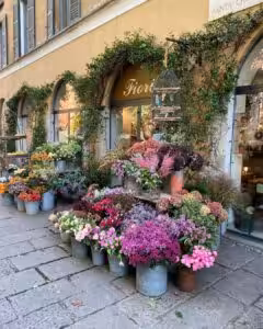 Clori fiori